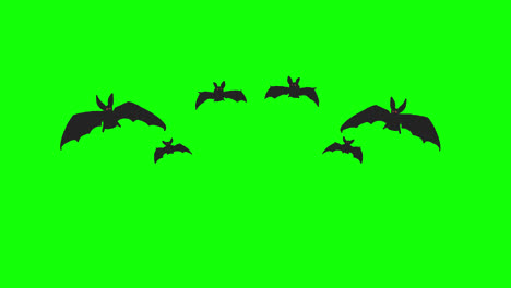 Halloween-Fledermaus-Fliegenschleife,-Bewegungsgrafikvideo,-Transparenter-Hintergrund-Mit-Alphakanal